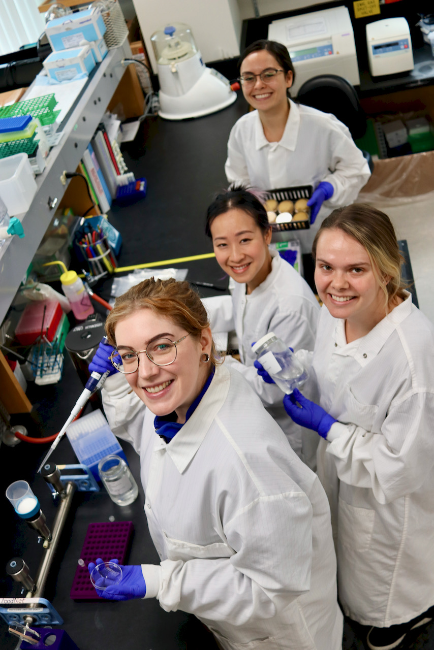 BCCDC Lab Work