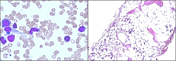 Students in class listening to a lecturer
