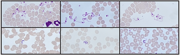 Students in class listening to a lecturer