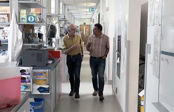 Students in class listening to a lecturer