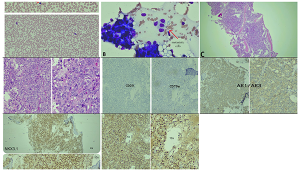 Students in class listening to a lecturer