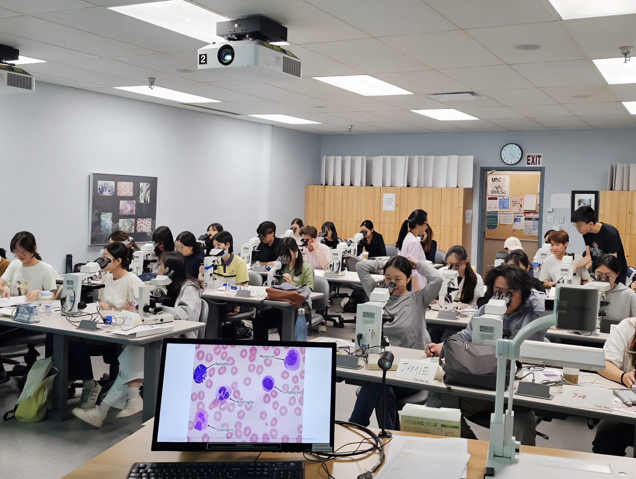 BMLSc students working in laboratory